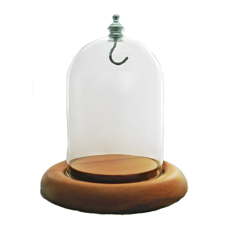 Pocket watch glass display dome cloche oak wood base and silver metal hook 3"x4", back view.