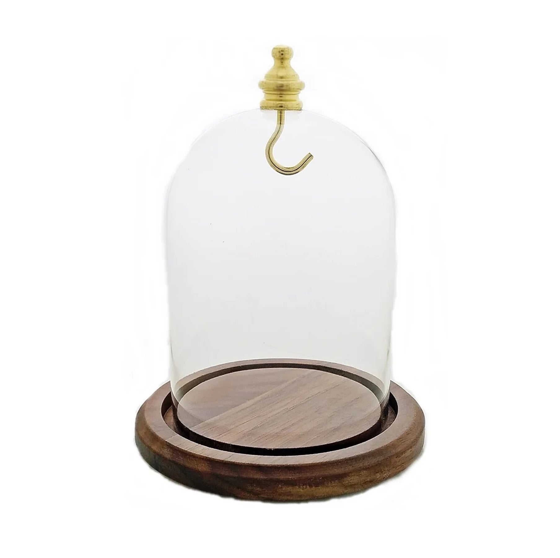 Pocket watch glass display dome cloche real walnut wood base and gold brass hook 3"x4", back view.
