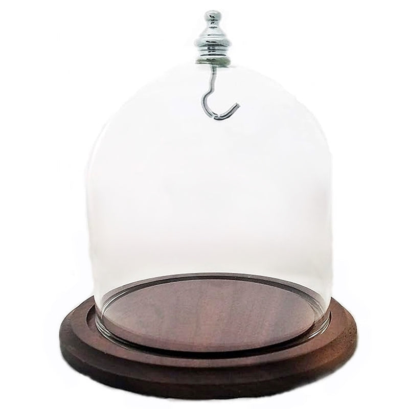 Pocket watch glass display dome cloche real walnut wood base and silver hook 4"x4", back view.
