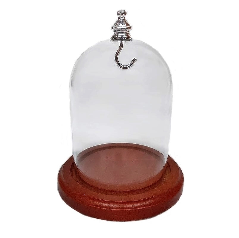 Pocket watch glass display dome cloche silver knob and hook walnut stained base 3"x4", back view.