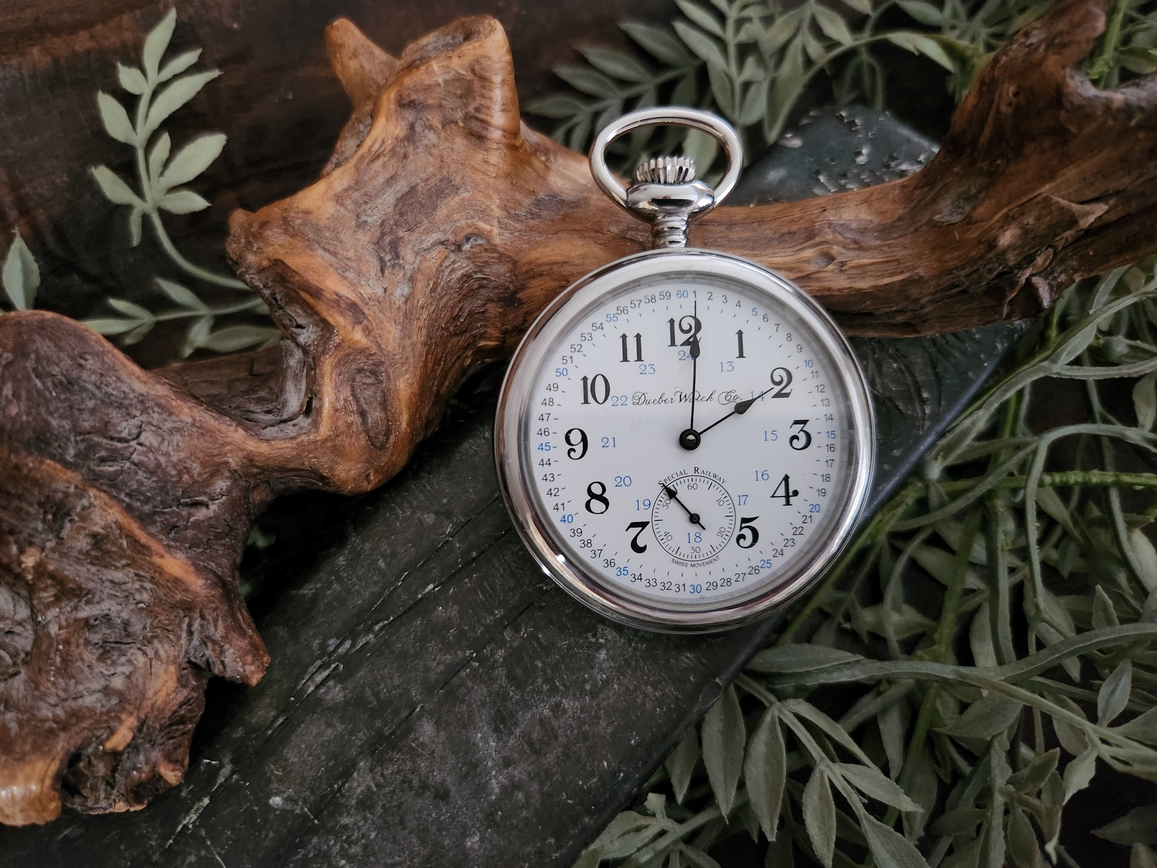 Collection page pocket watch banner.