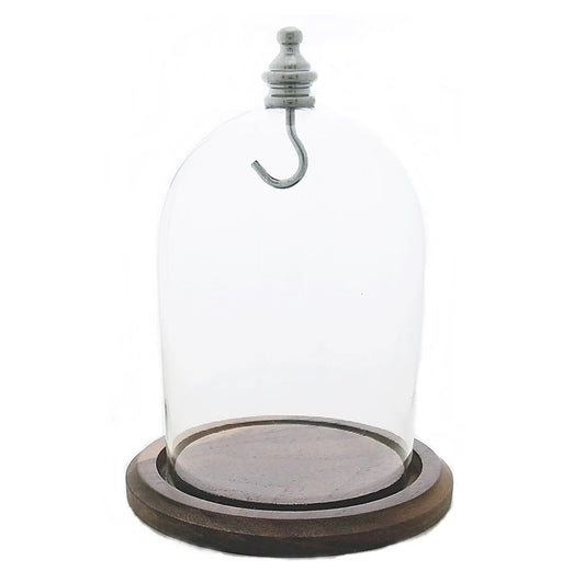 Pocket watch glass display dome cloche real walnut wood base and silver hook 3"x4", front view.