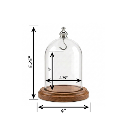 Pocket Watch Glass Display Dome Cloche Real Walnut Wood Base & Silver Hook 3"x4"