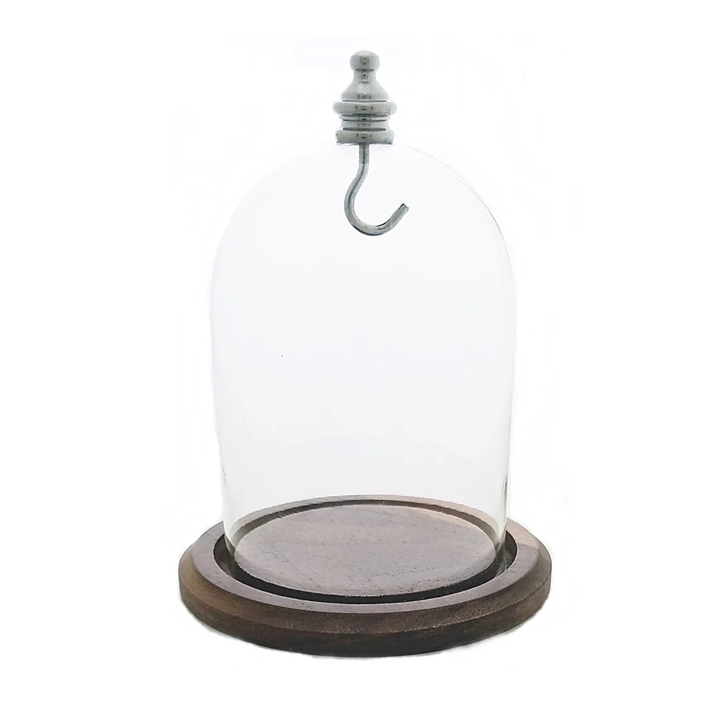 Pocket Watch Glass Display Dome Cloche Real Walnut Wood Base & Silver Hook 3"x4"
