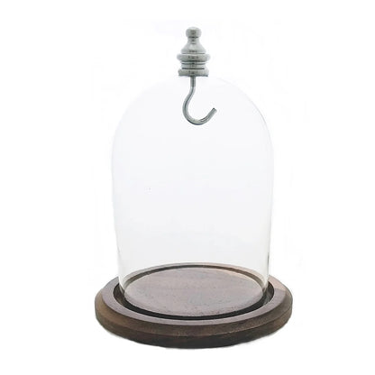 Pocket Watch Glass Display Dome Cloche Real Walnut Wood Base & Silver Hook 3"x4"