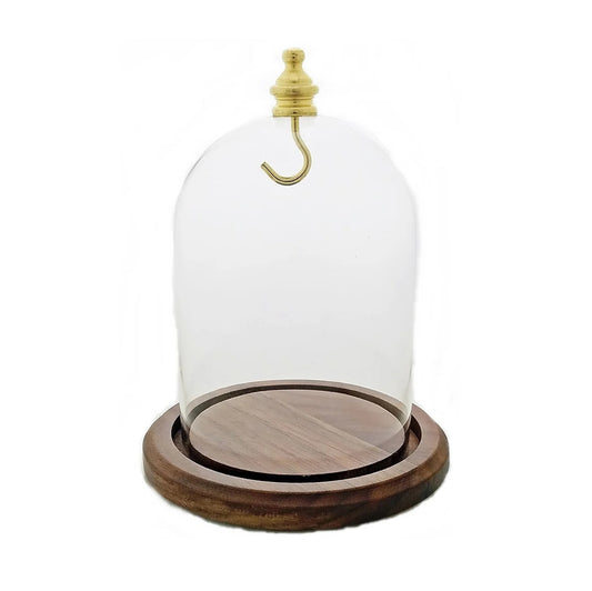 Pocket watch glass display dome cloche real walnut wood base and gold brass hook 3"x4", front view.