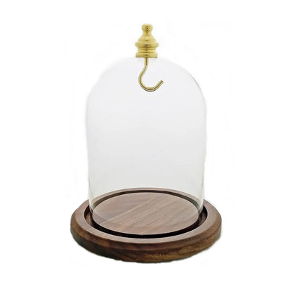 Pocket Watch Glass Display Dome Cloche Real Walnut Wood Base & Gold Brass Hook 3"x4"