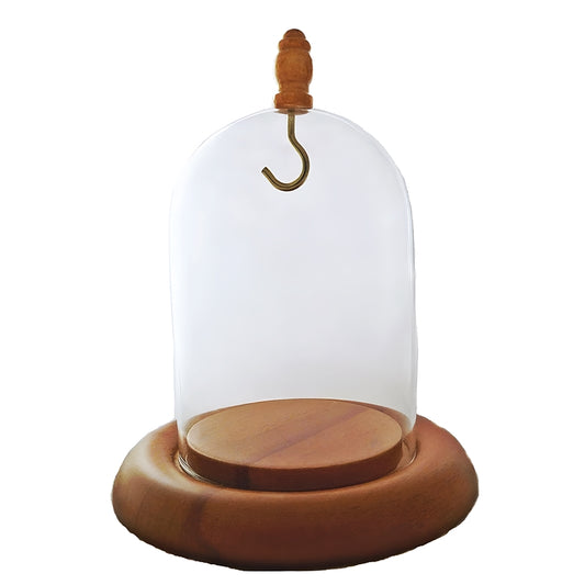 Pocket watch glass display dome cloche hook oak wood base and knob 3"x4", front view.