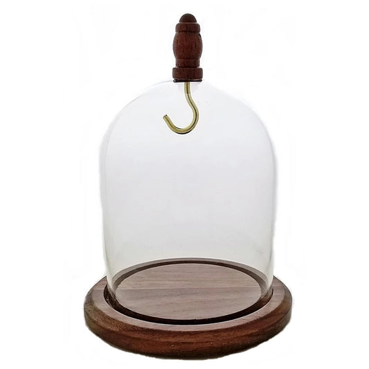 Pocket watch glass display dome cloche real walnut wood base and wood knob 3"x4", front view.