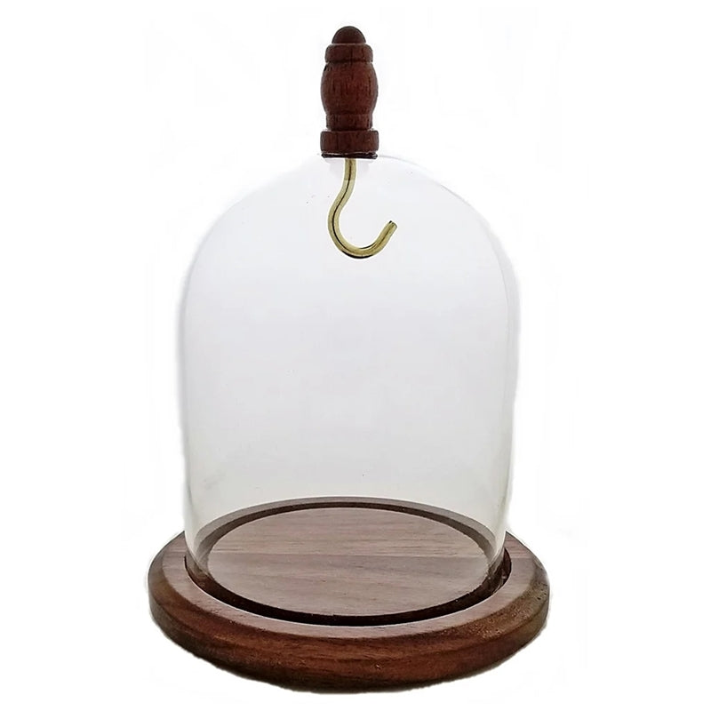 Pocket watch glass display dome cloche real walnut wood base and wood knob 3"x4", back view.