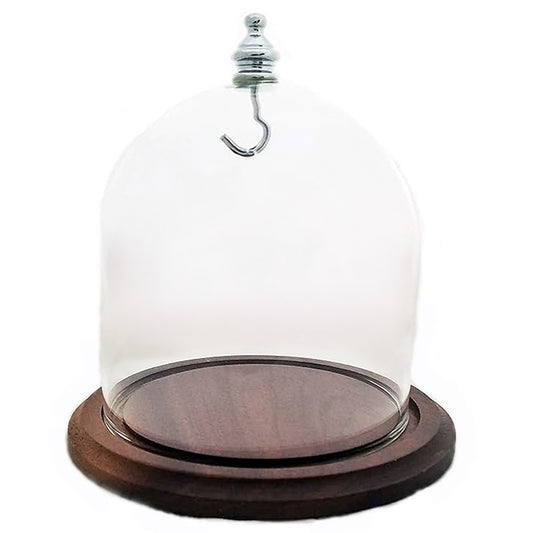 Pocket Watch Glass Display Dome Cloche Real Walnut Wood Base & Silver/Chrome Metal Knob & Hook 4"x4"