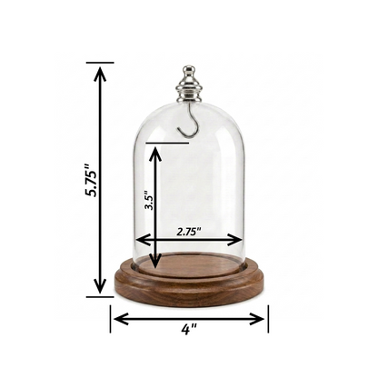Pocket Watch Glass Display Dome Cloche Real Walnut Wood Base & Silver Hook 3"x4"