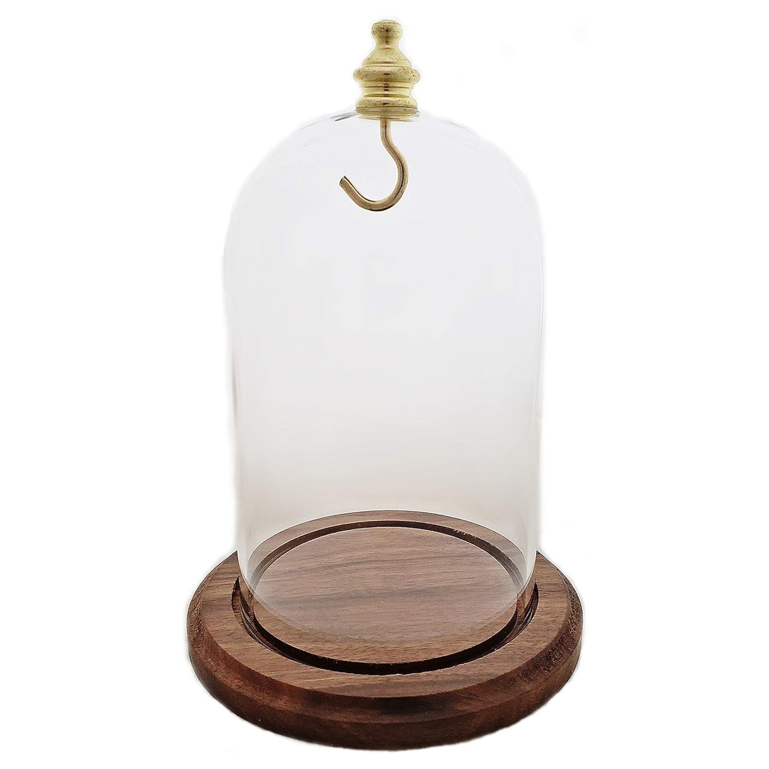 Pocket watch glass display dome cloche real walnut wood base and gold brass hook 3"x4-1/2", front view.