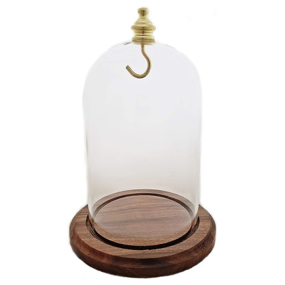 Pocket watch glass display dome cloche real walnut wood base and gold brass hook 3"x4-1/2", front view.