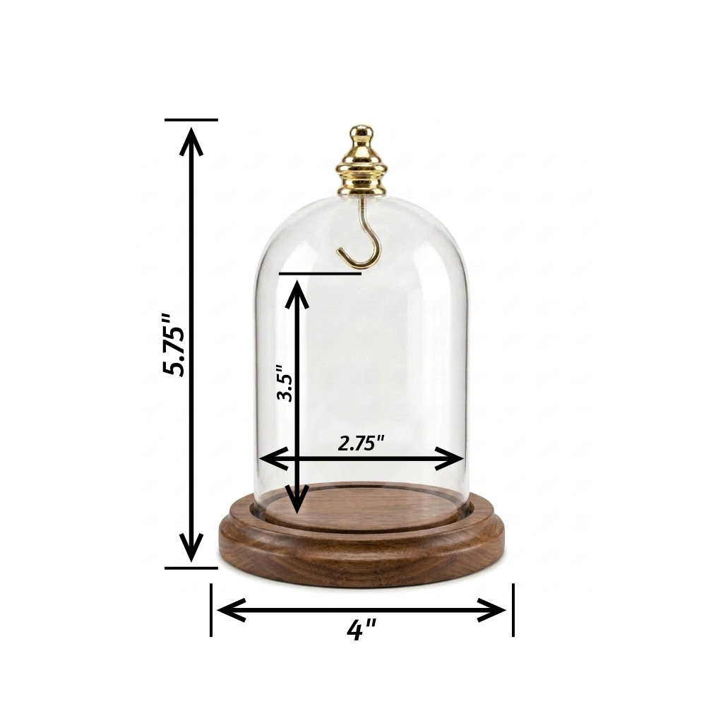 Pocket Watch Glass Display Dome Cloche Real Walnut Wood Base & Gold Brass Hook 3"x4-1/2"