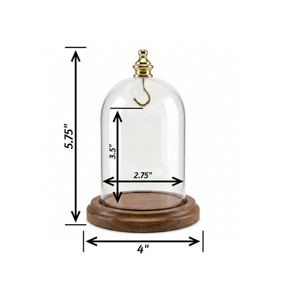 Pocket Watch Glass Display Dome Cloche Real Walnut Wood Base & Gold Brass Hook 3"x4-1/2"