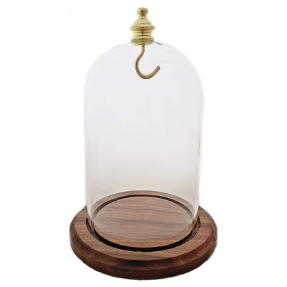 Pocket watch glass display dome cloche real walnut wood base and gold brass hook 3"x4-1/2", back view.