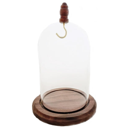 Pocket watch glass display dome cloche real walnut wood base and wood knob 3"x4-1/2", front view.