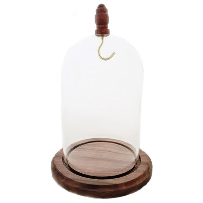 Pocket watch glass display dome cloche real walnut wood base and wood knob 3"x4-1/2", back view.