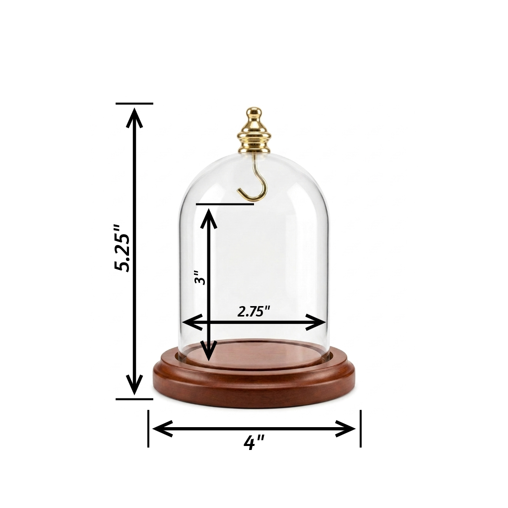 Pocket watch glass display dome cloche gold knob and hook walnut stained base 3"x4", front view.