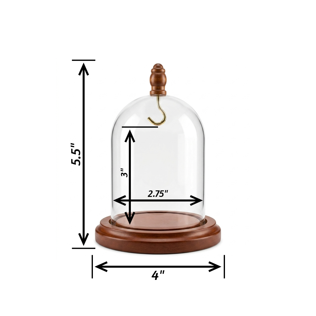 Pocket watch glass display dome cloche wood knob and hook walnut stained base 3"x4"