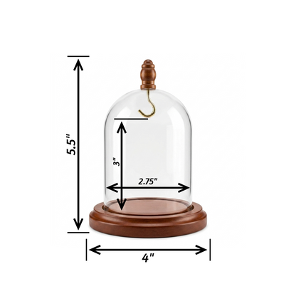 Pocket watch glass display dome cloche wood knob and hook walnut stained base 3"x4"
