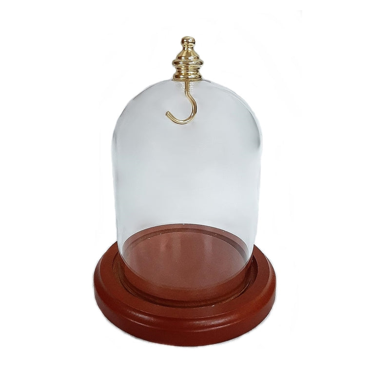 Pocket watch glass display dome cloche gold knob and hook walnut stained base 3"x4", front view.