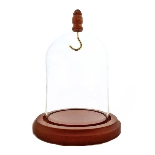 Pocket watch glass display dome cloche wood knob and hook walnut stained base 3"x4", front view.