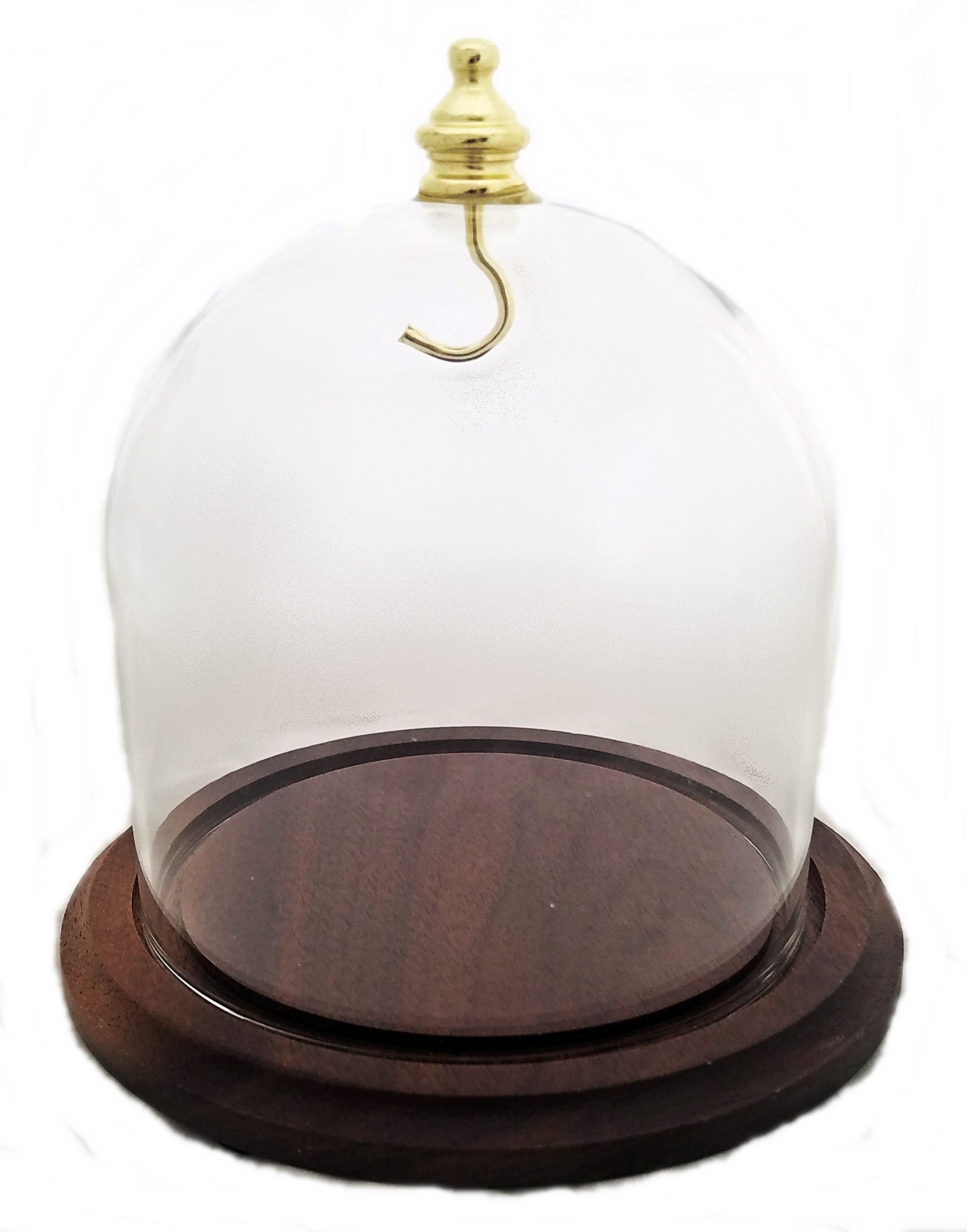 Dueber Walnut Display Dome Cloche